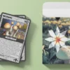 Collector Deck - 2024 Spring Deck